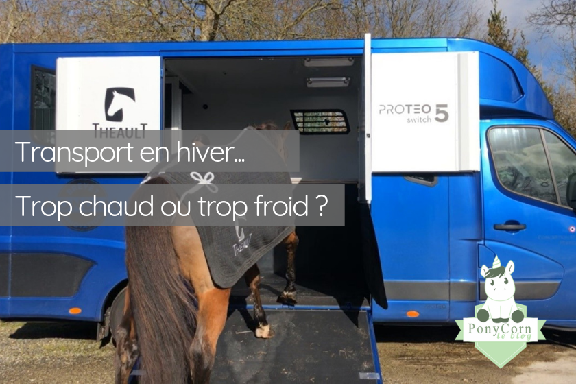 Transport en hiver; comment savoir si mon cheval a trop chaud ou trop froid ?